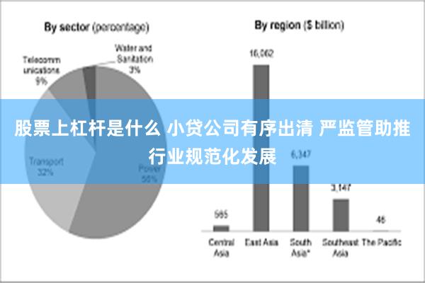 股票上杠杆是什么 小贷公司有序出清 严监管助推行业规范化发展