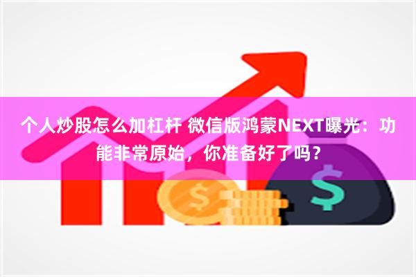 个人炒股怎么加杠杆 微信版鸿蒙NEXT曝光：功能非常原始，你准备好了吗？