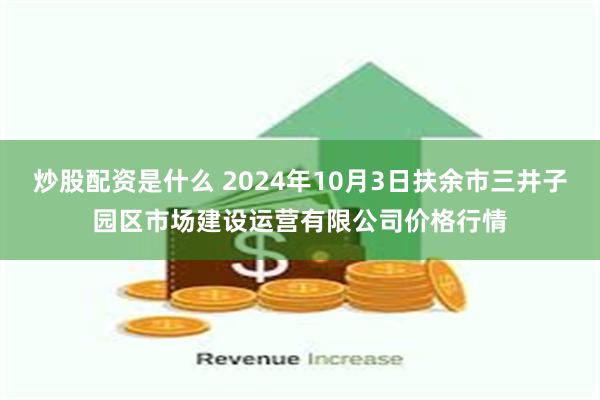 炒股配资是什么 2024年10月3日扶余市三井子园区市场建设运营有限公司价格行情