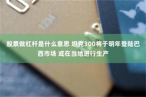 股票做杠杆是什么意思 坦克300将于明年登陆巴西市场 或在当