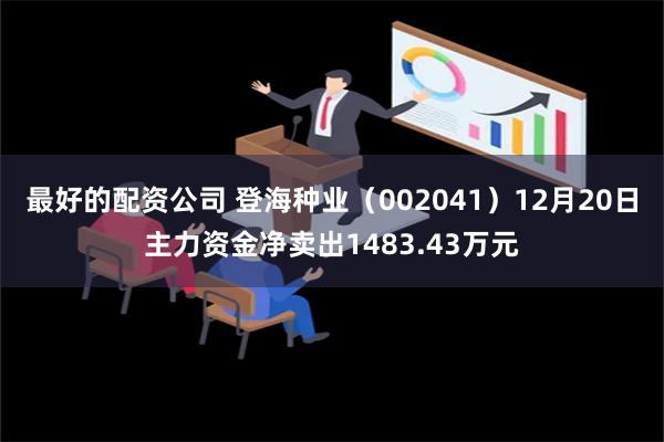 最好的配资公司 登海种业（002041）12月20日主力资金