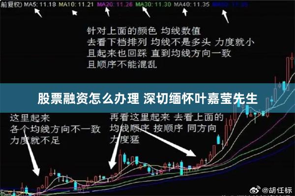 股票融资怎么办理 深切缅怀叶嘉莹先生