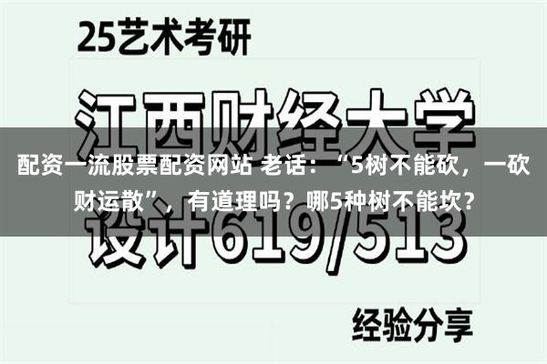 配资一流股票配资网站 老话：“5树不能砍，一砍财运散”，有道理吗？哪5种树不能坎？