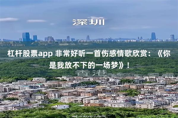 杠杆股票app 非常好听一首伤感情歌欣赏：《你是我放不下的一场梦》！