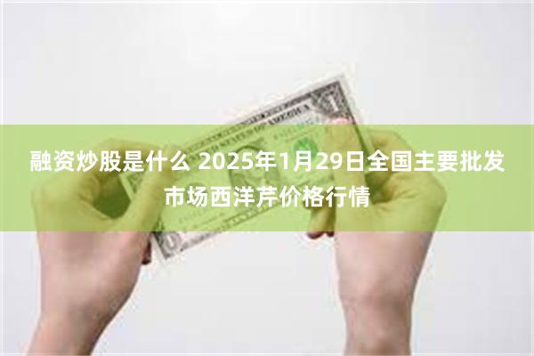 融资炒股是什么 2025年1月29日全国主要批发市场西洋芹价格行情