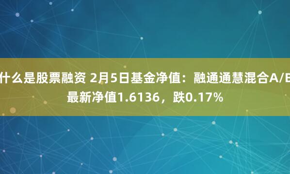 什么是股票融资 2月5日基金净值：融通通慧混合A/B最新净值1.6136，跌0.17%