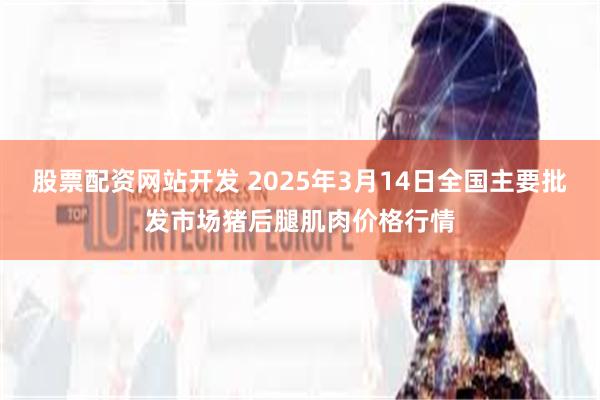 股票配资网站开发 2025年3月14日全国主要批发市场猪后腿肌肉价格行情